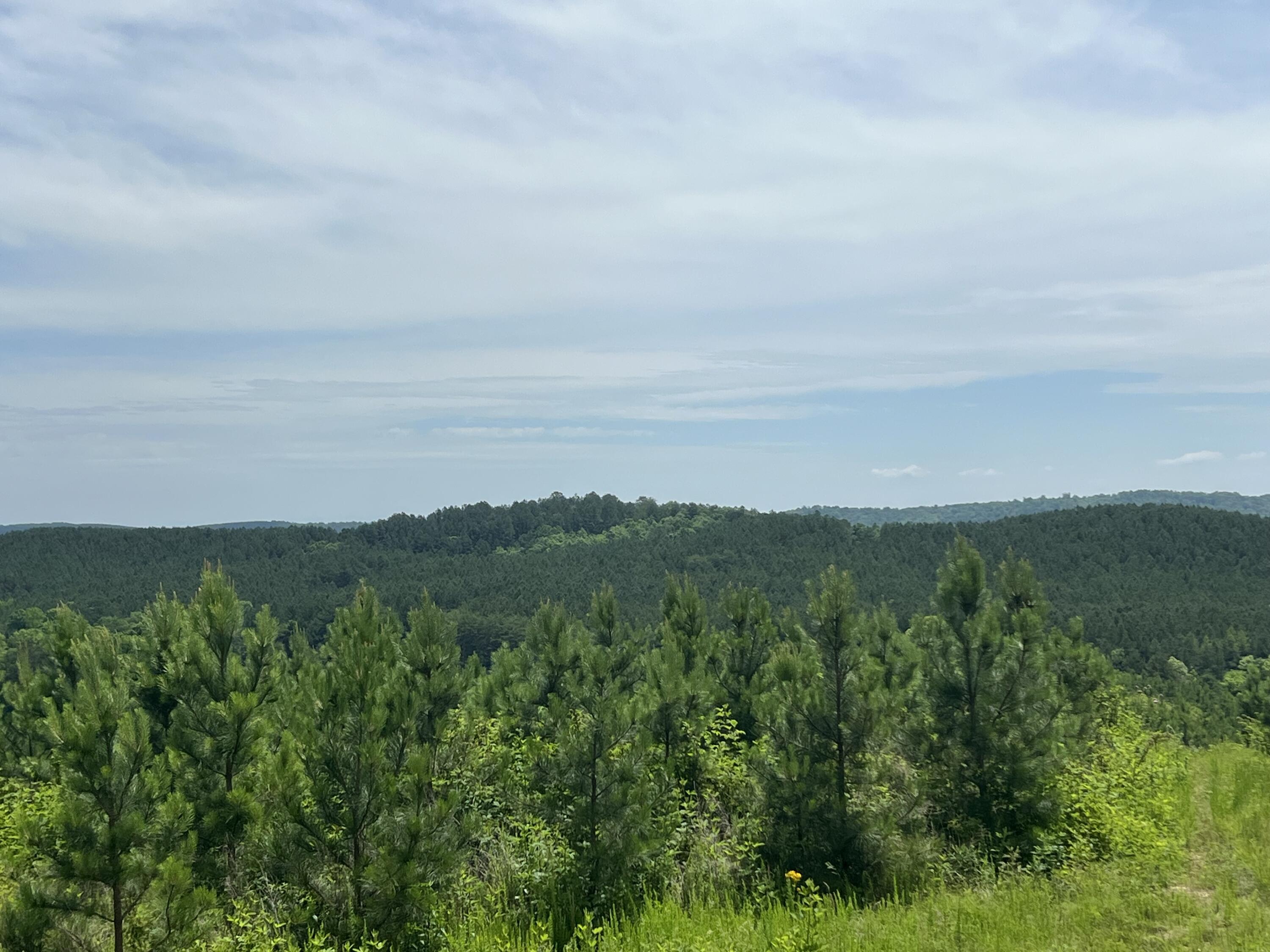 4875 New Union Road, Dayton, Tennessee image 24
