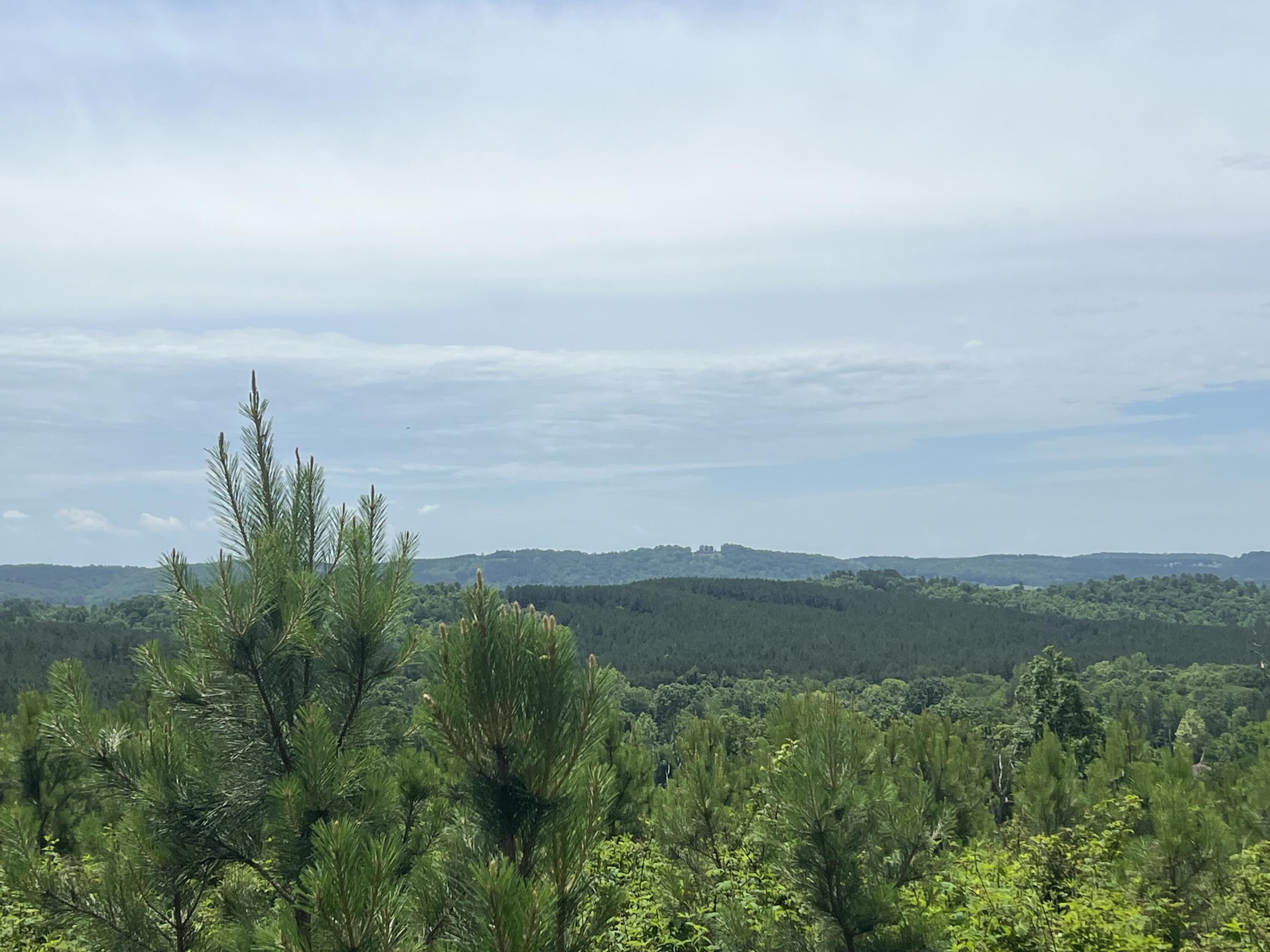 4875 New Union Road, Dayton, Tennessee image 27