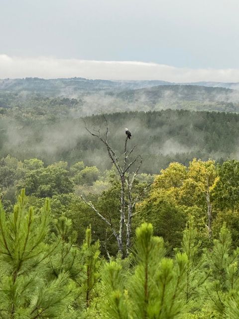 Tiny photo for 4875 New Union Road, Dayton, TN 37321 (MLS # 1513218)