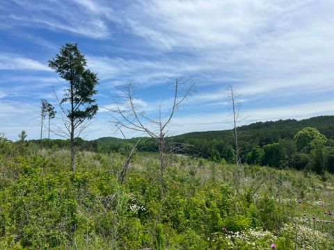 Tiny photo for 4875 New Union Road, Dayton, TN 37321 (MLS # 1513218)