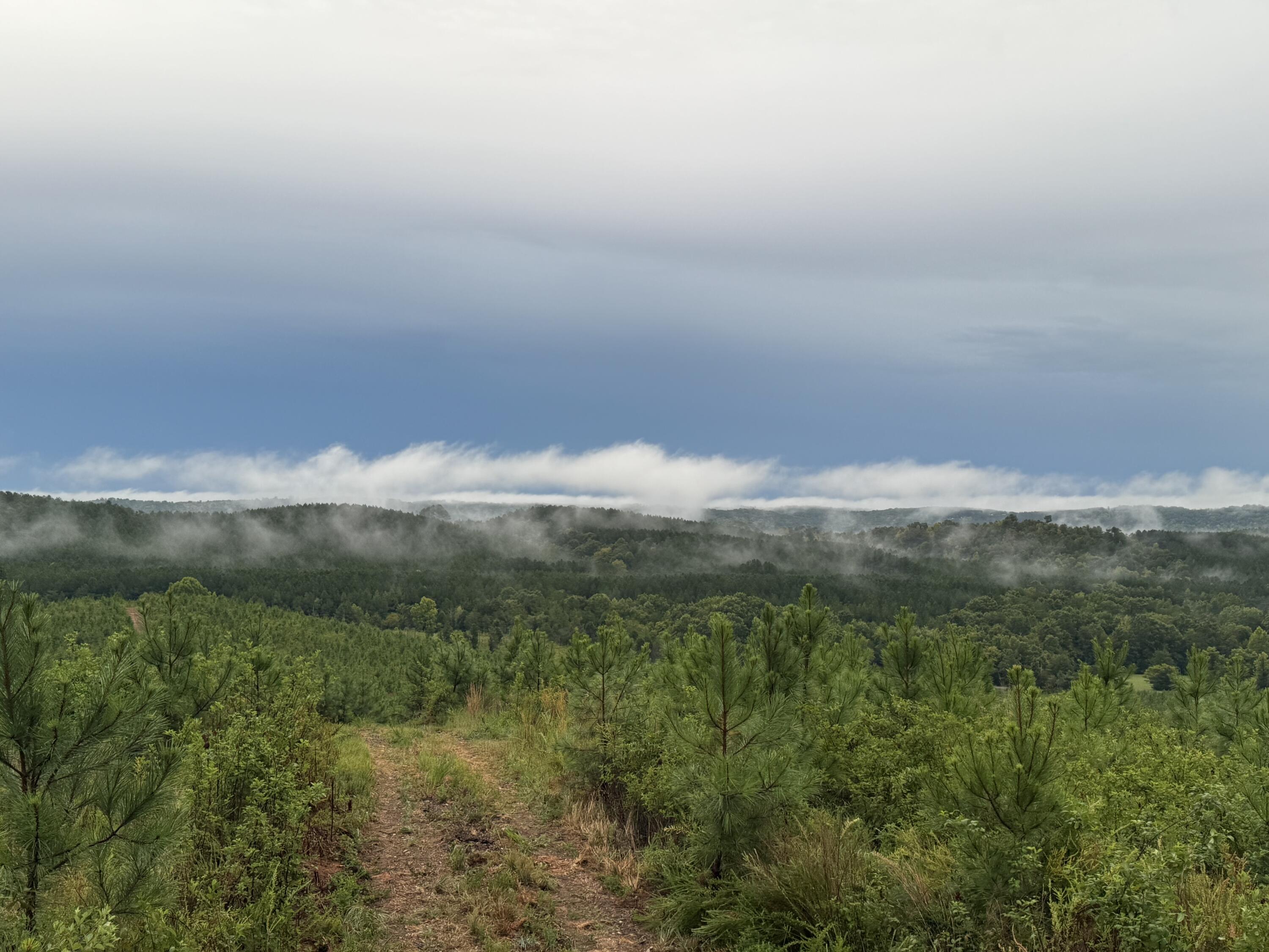 4875 New Union Road, Dayton, Tennessee image 7