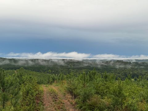 Tiny photo for 4875 New Union Road, Dayton, TN 37321 (MLS # 1513218)