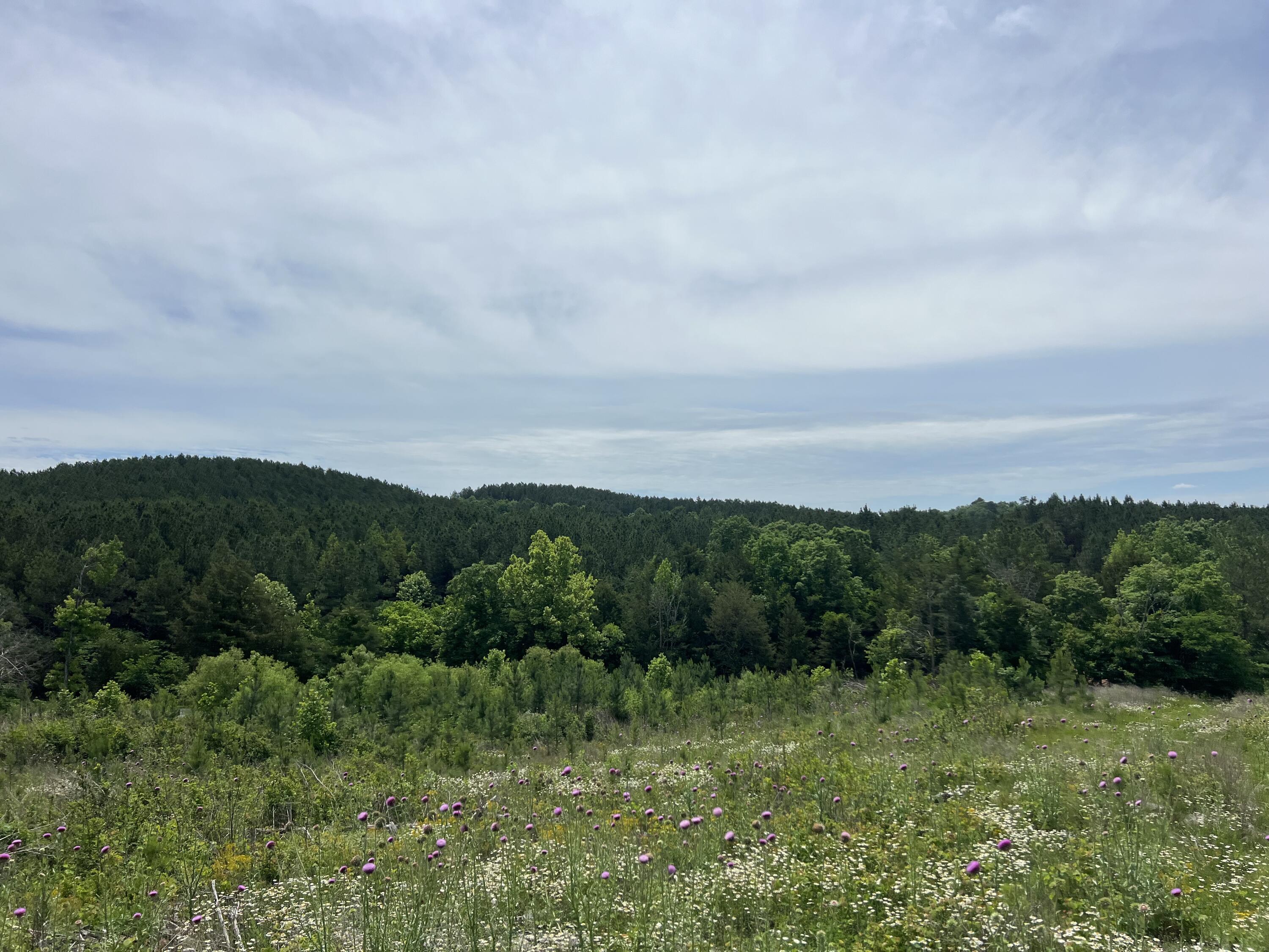4875 New Union Road, Dayton, Tennessee image 11