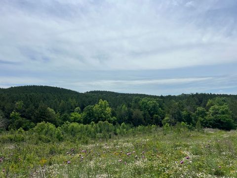 Tiny photo for 4875 New Union Road, Dayton, TN 37321 (MLS # 1513218)