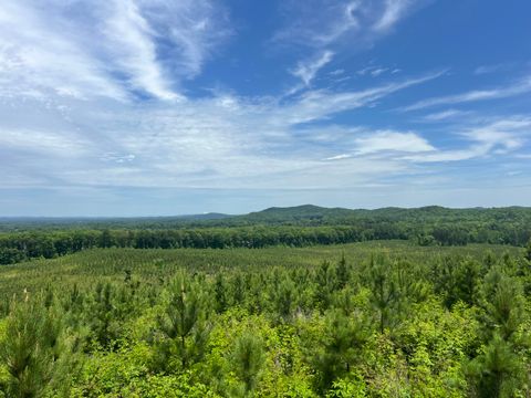 Tiny photo for 4875 New Union Road, Dayton, TN 37321 (MLS # 1513218)