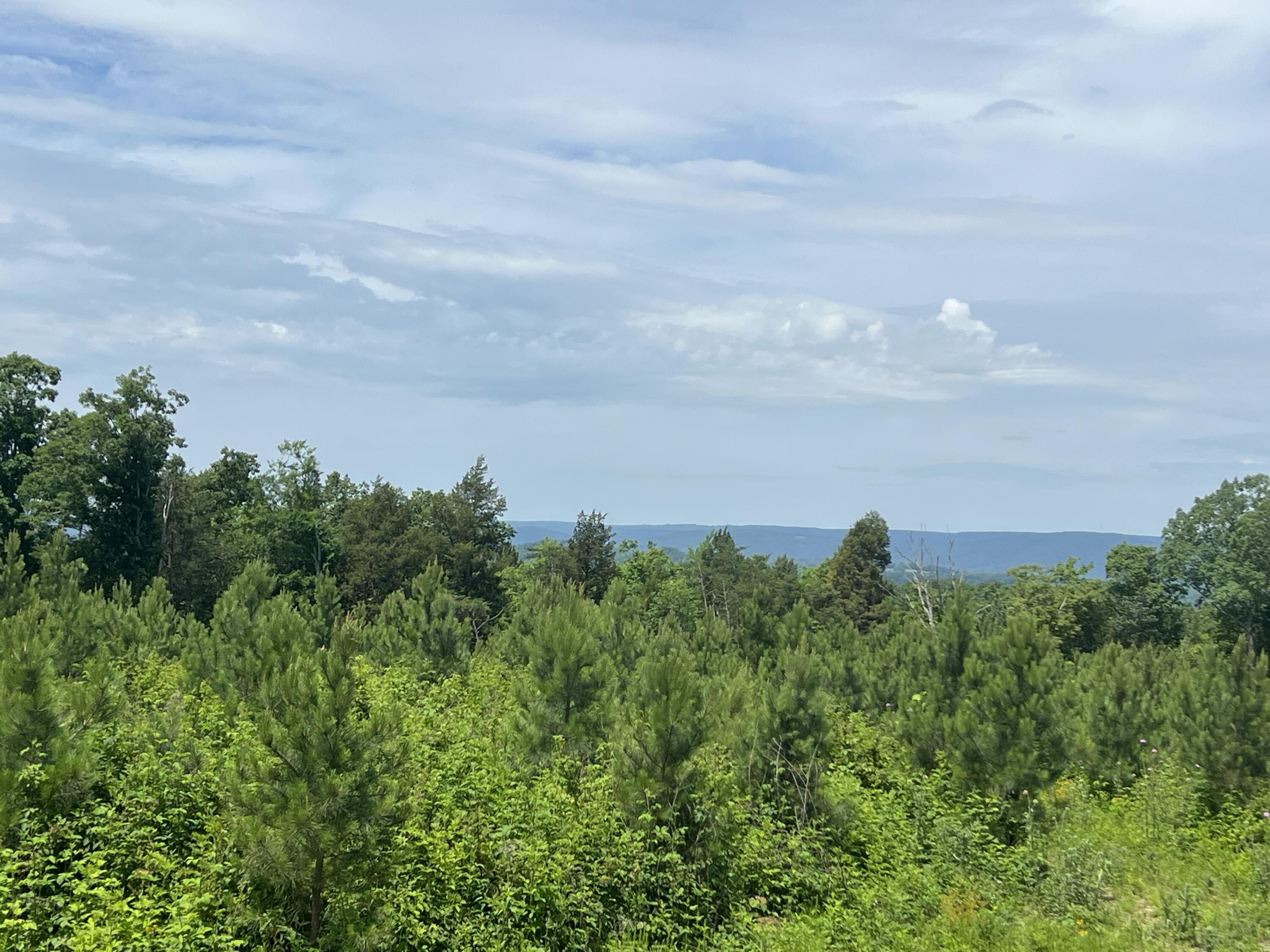 4875 New Union Road, Dayton, Tennessee image 25