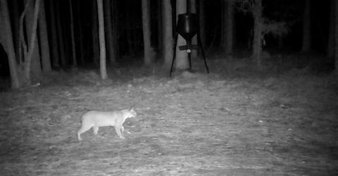 Tiny photo for 4875 New Union Road, Dayton, TN 37321 (MLS # 1513218)