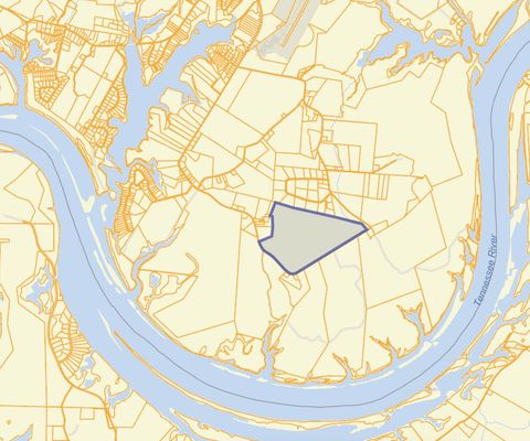 Tiny photo for 4875 New Union Road, Dayton, TN 37321 (MLS # 1513218)