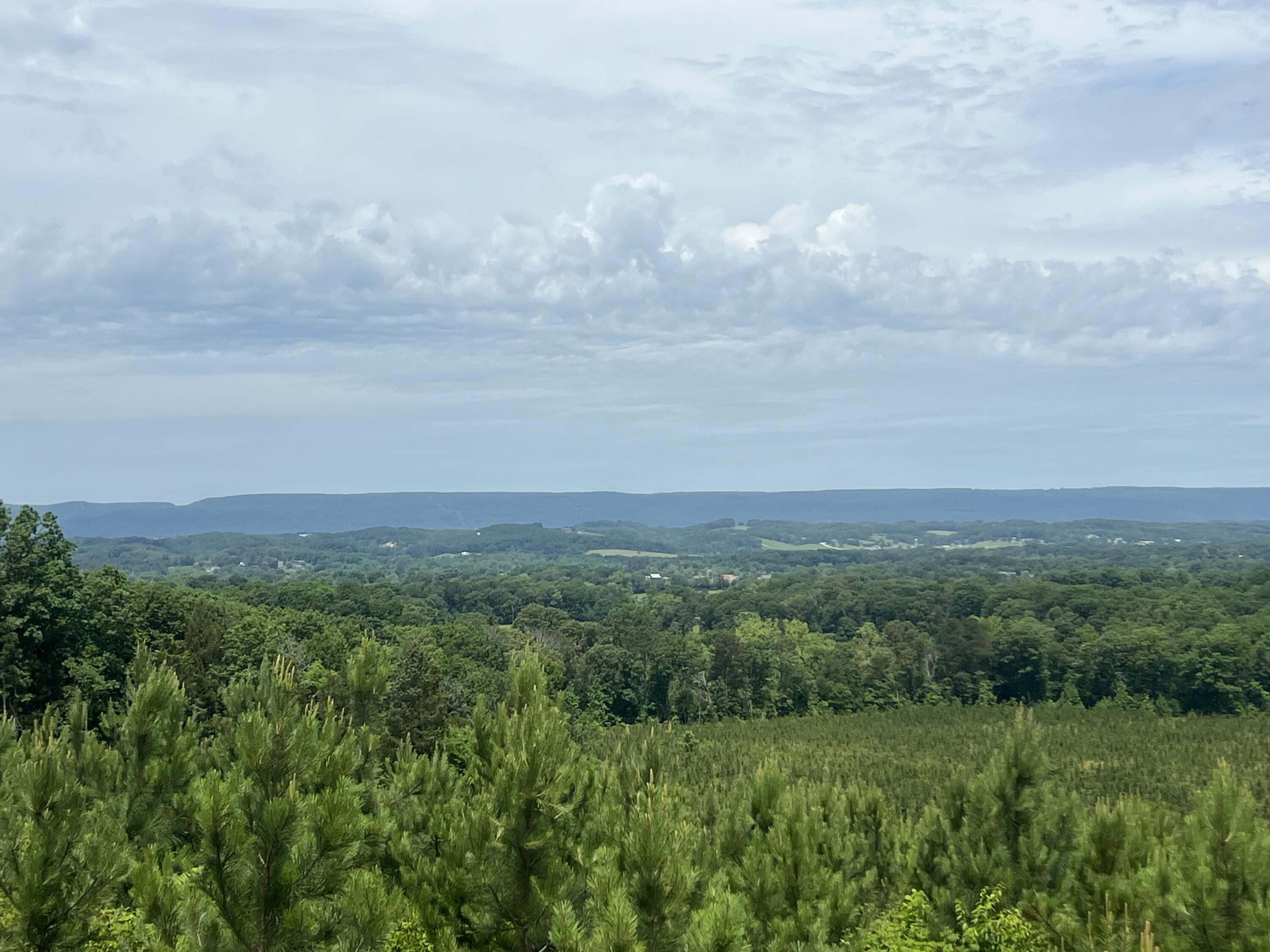 4875 New Union Road, Dayton, Tennessee image 18