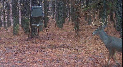 Tiny photo for 4875 New Union Road, Dayton, TN 37321 (MLS # 1513218)