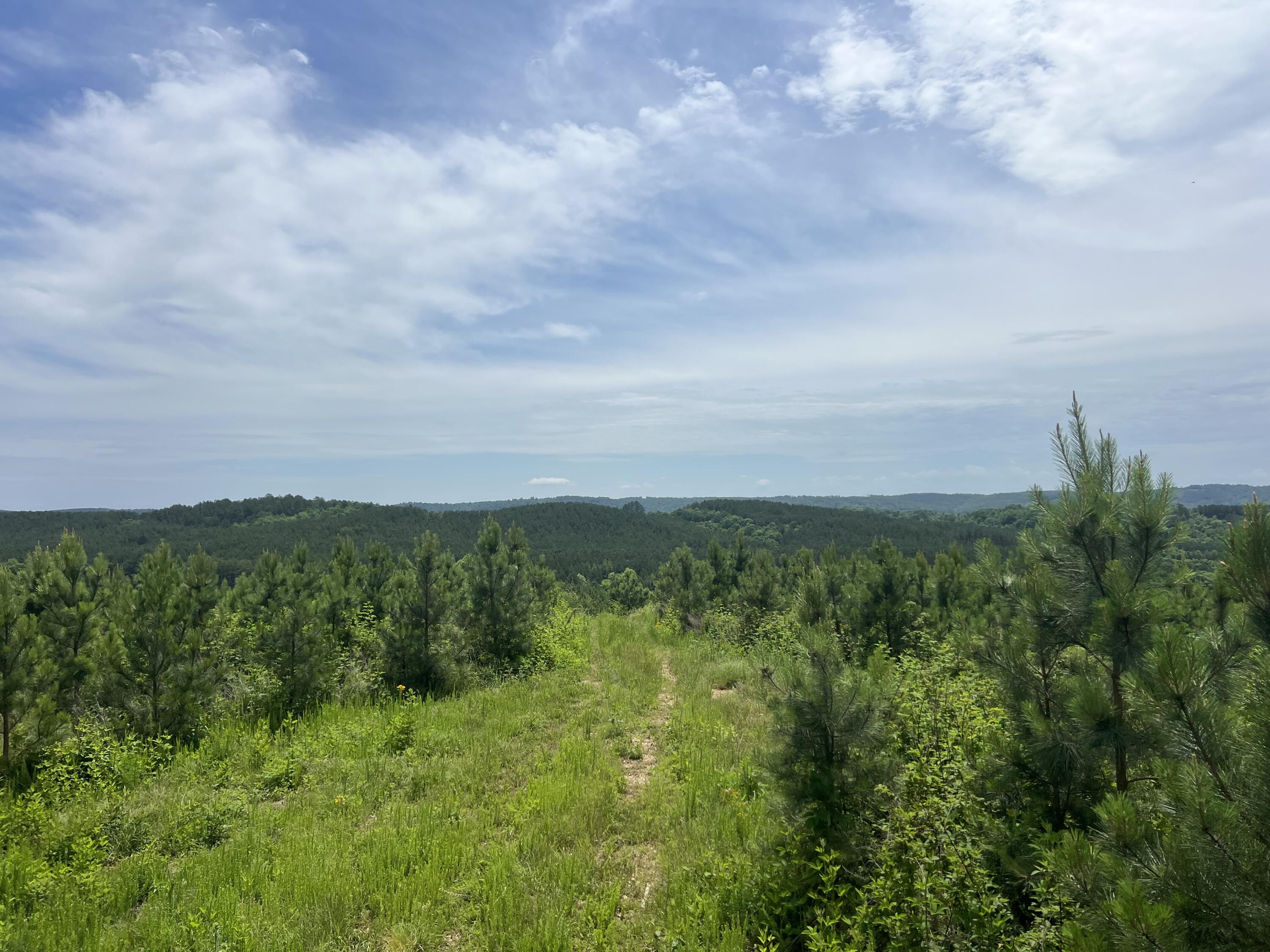 4875 New Union Road, Dayton, Tennessee image 30