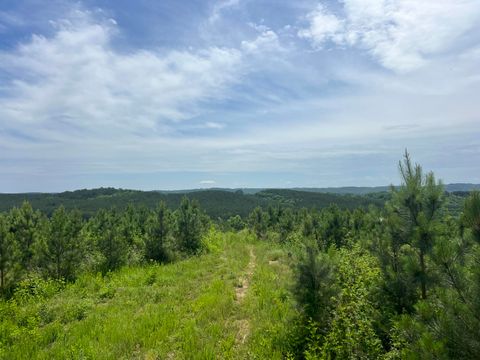 Tiny photo for 4875 New Union Road, Dayton, TN 37321 (MLS # 1513218)