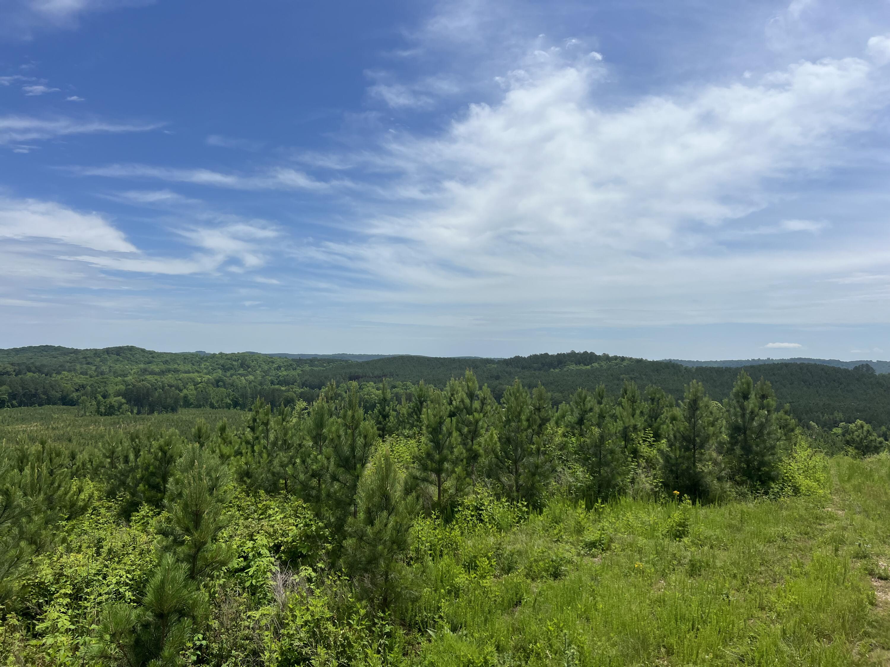 4875 New Union Road, Dayton, Tennessee image 31