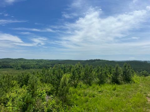 Tiny photo for 4875 New Union Road, Dayton, TN 37321 (MLS # 1513218)