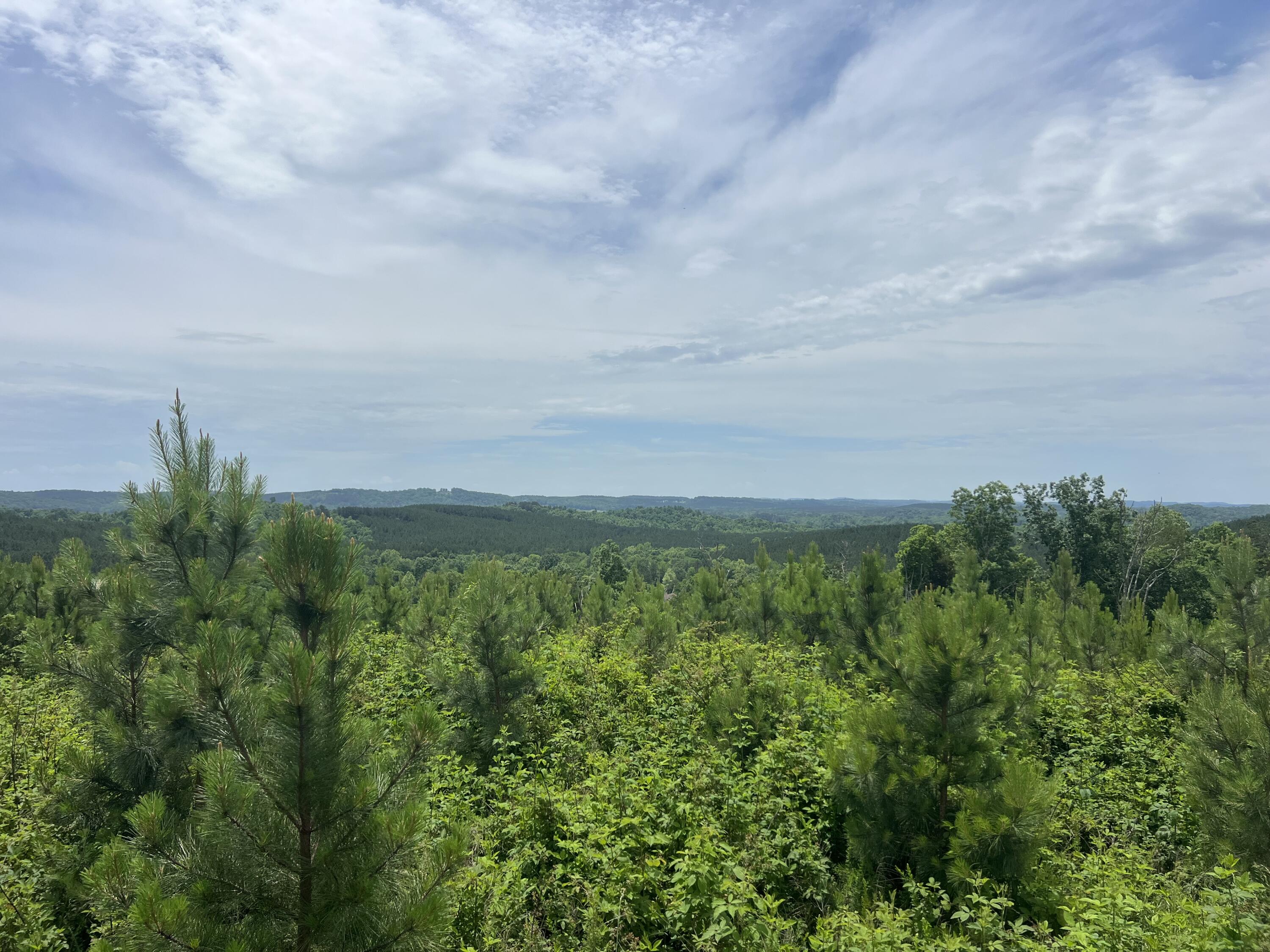 4875 New Union Road, Dayton, Tennessee image 29