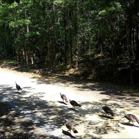 Tiny photo for 4875 New Union Road, Dayton, TN 37321 (MLS # 1513218)