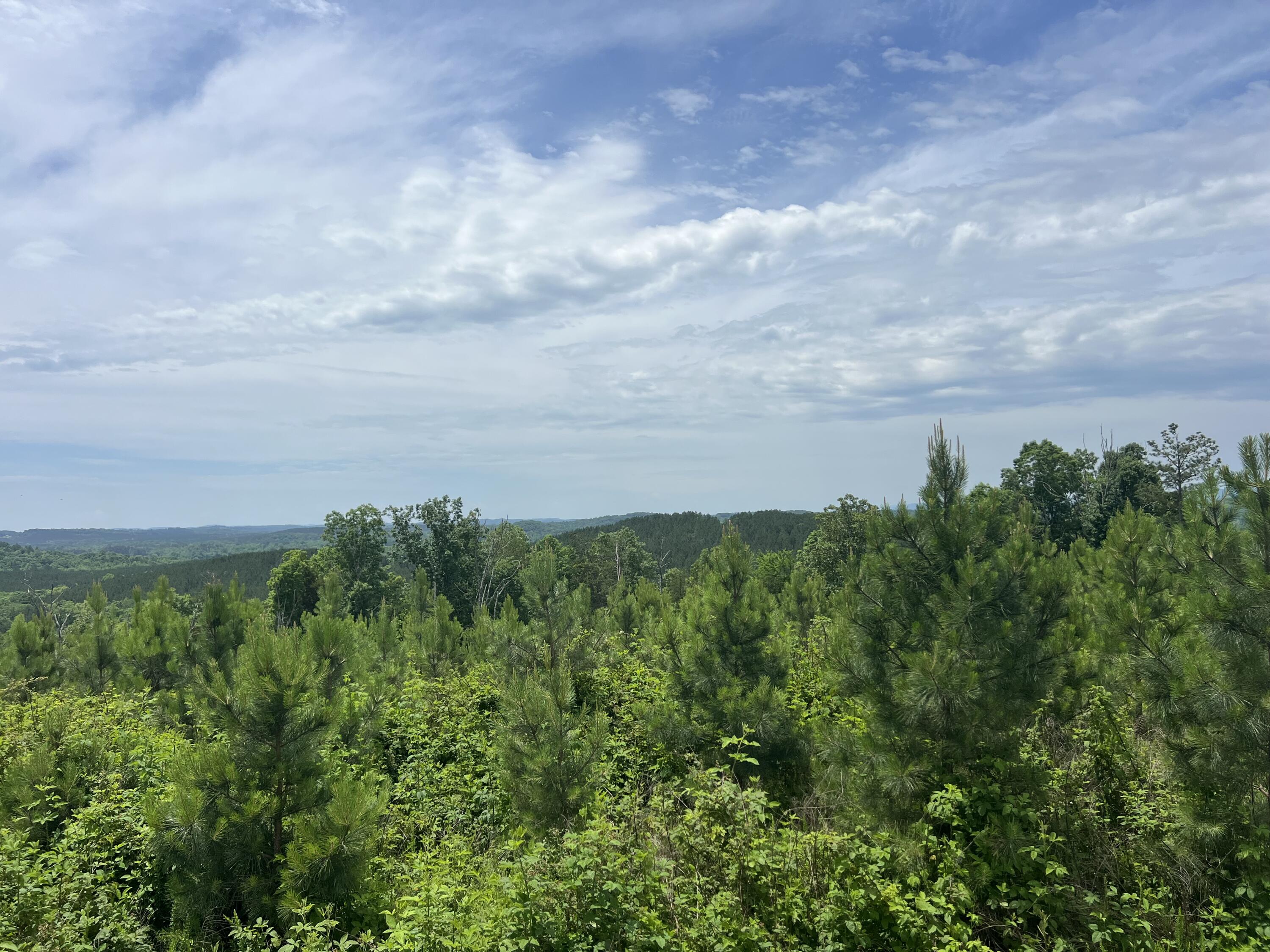 4875 New Union Road, Dayton, Tennessee image 28