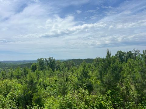 Tiny photo for 4875 New Union Road, Dayton, TN 37321 (MLS # 1513218)