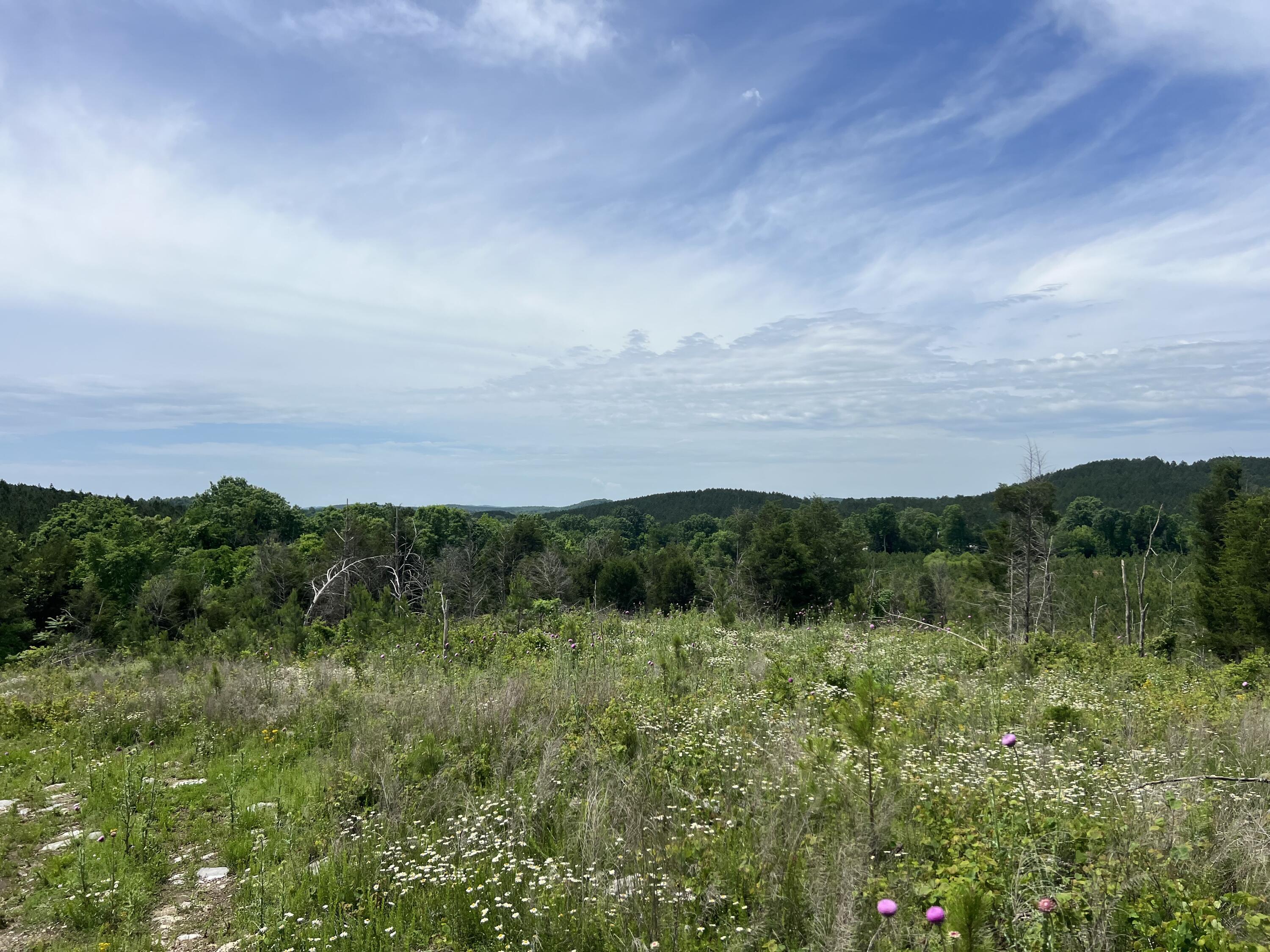 4875 New Union Road, Dayton, Tennessee image 13