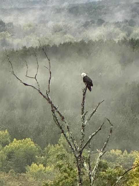 Tiny photo for 4875 New Union Road, Dayton, TN 37321 (MLS # 1513218)