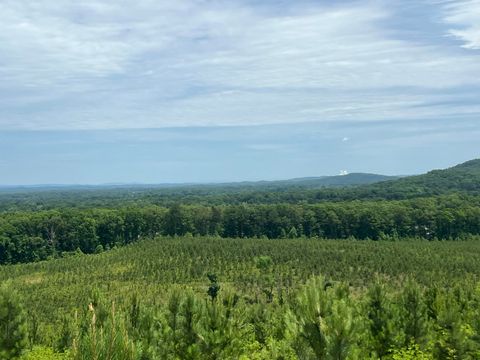 Tiny photo for 4875 New Union Road, Dayton, TN 37321 (MLS # 1513218)