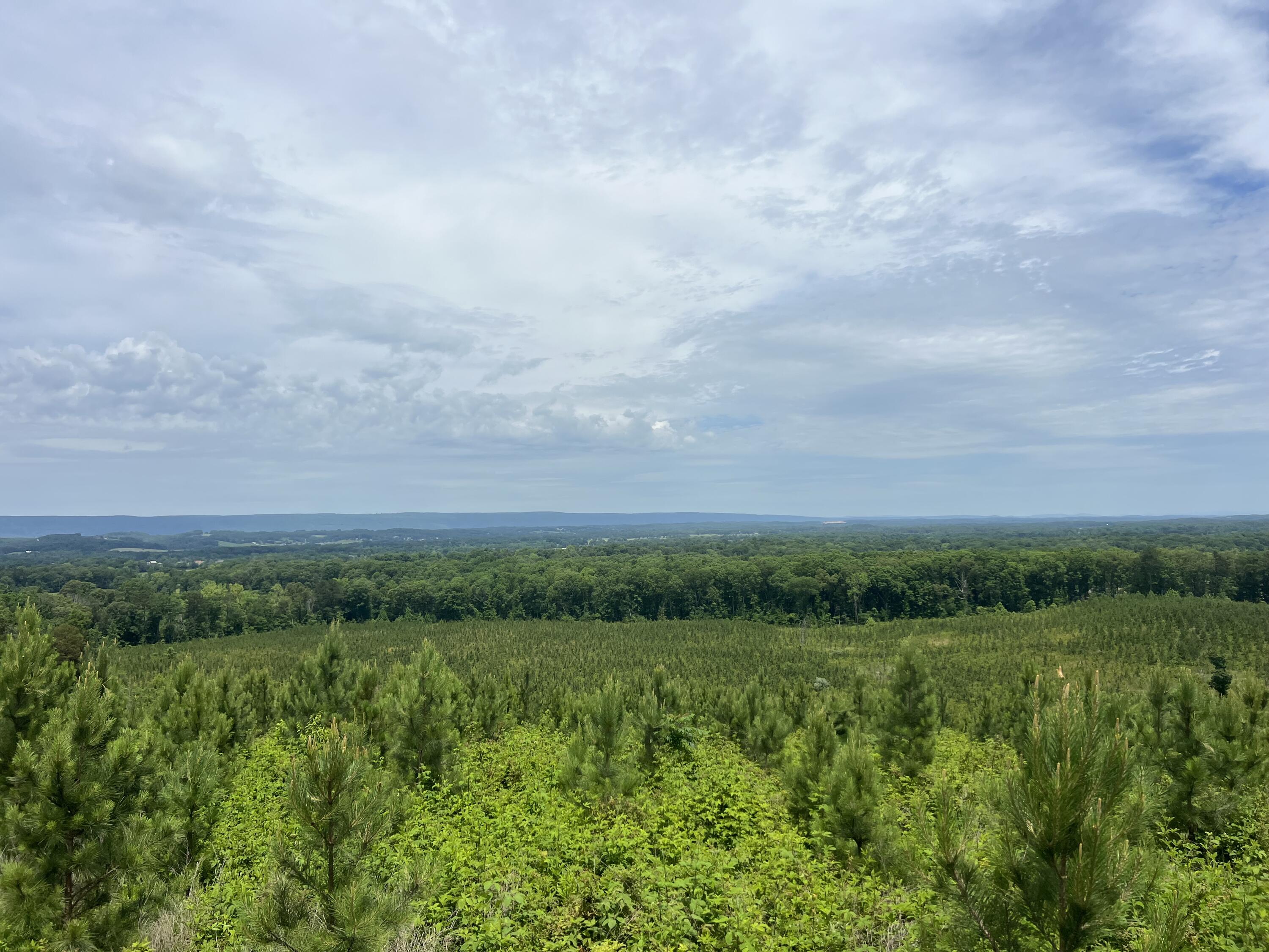 4875 New Union Road, Dayton, Tennessee image 33