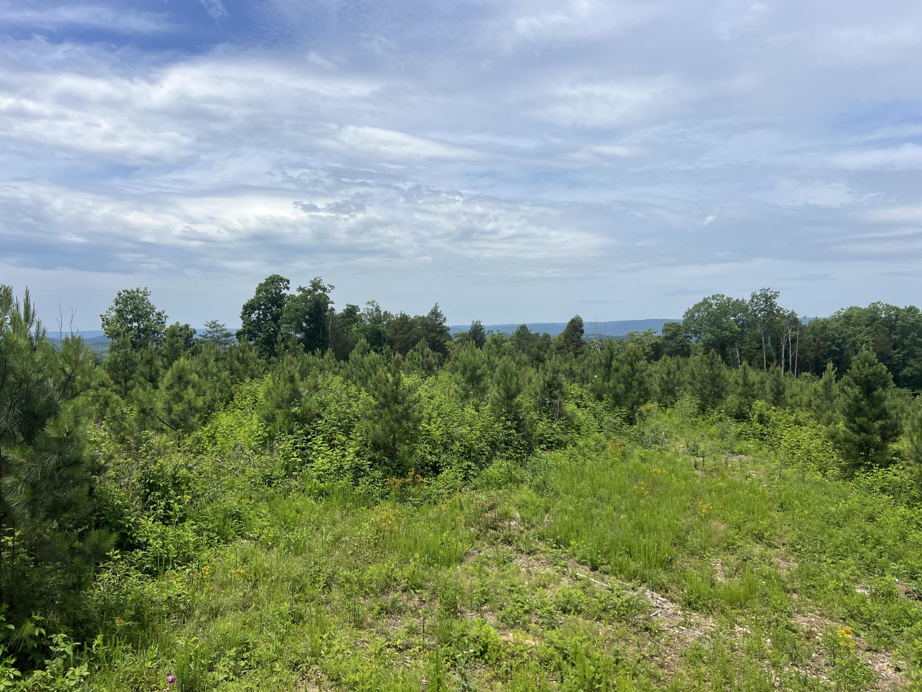 4875 New Union Road, Dayton, Tennessee image 34