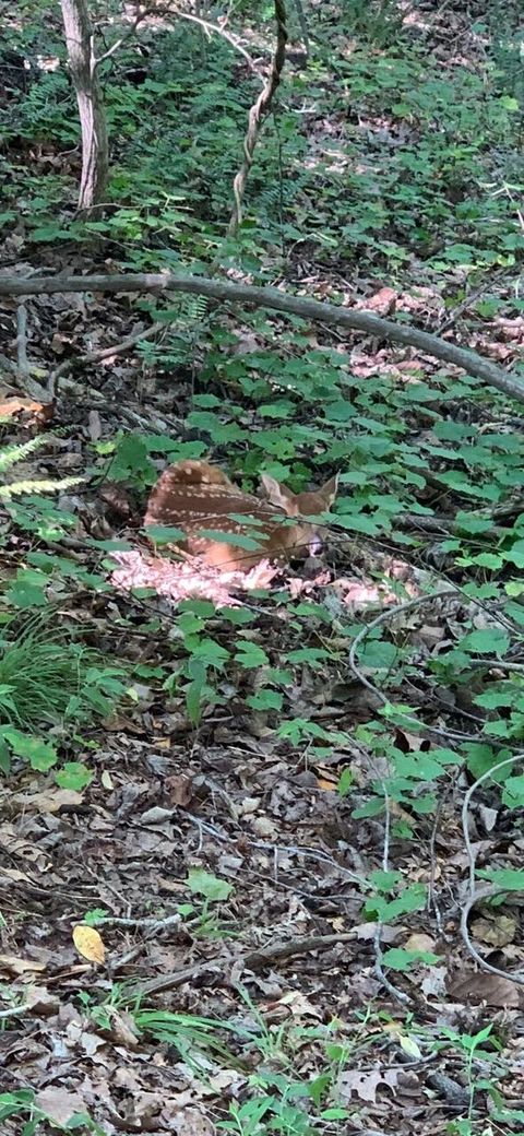 Tiny photo for 4875 New Union Road, Dayton, TN 37321 (MLS # 1513218)