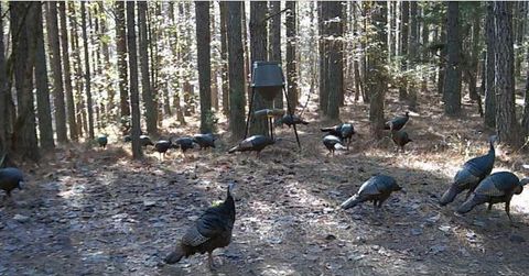 Tiny photo for 4875 New Union Road, Dayton, TN 37321 (MLS # 1513218)