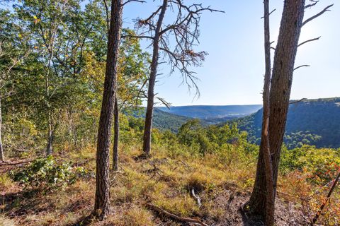Photo of 0 Raulston Falls Road, Jasper, TN 37347 (MLS # 1523359)