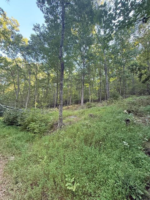 Tiny photo for 9675 Switchback Trail, Ooltewah, TN 37363 (MLS # 1519684)