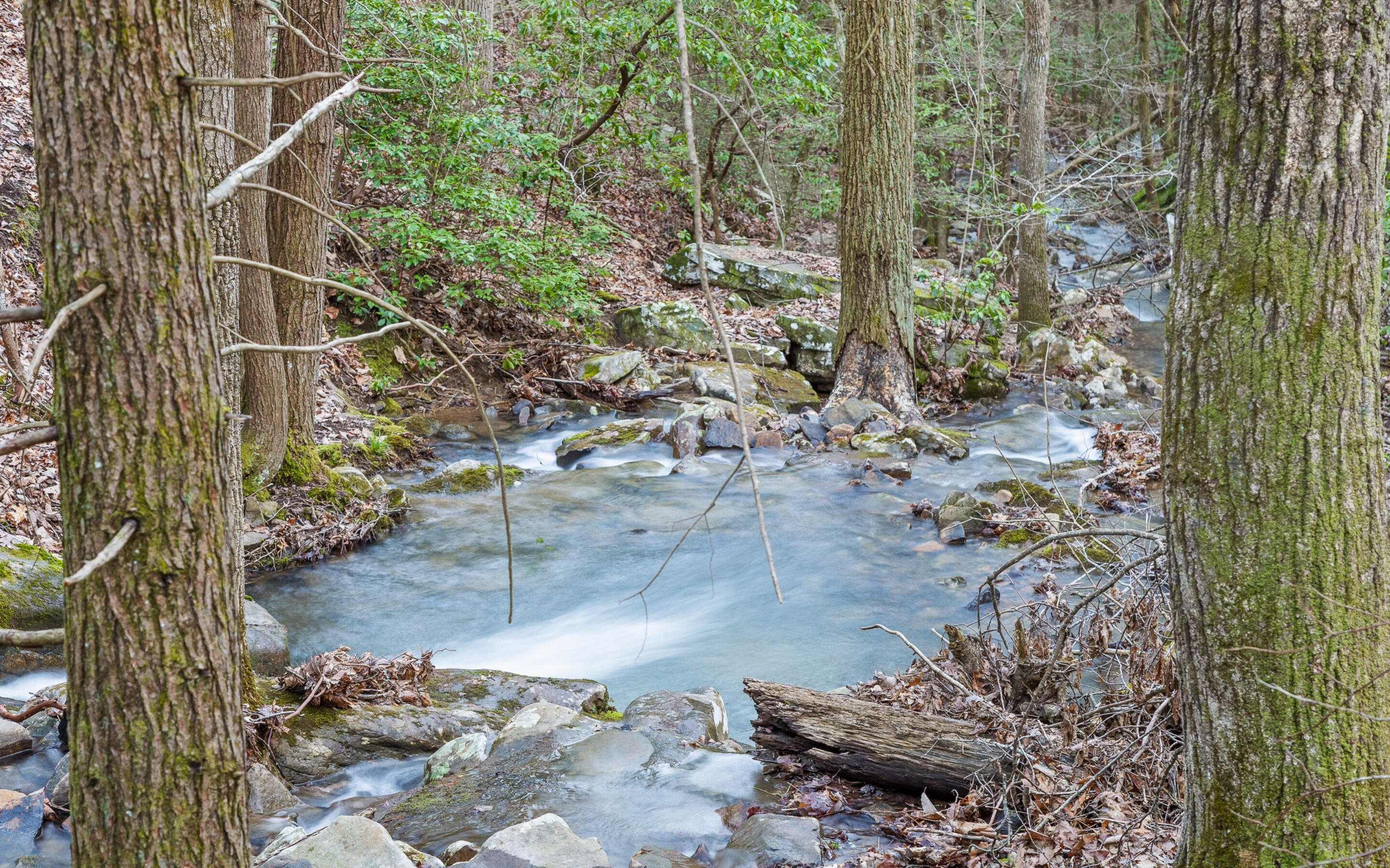 45 Deep Woods Drive, Dunlap, Tennessee image 44