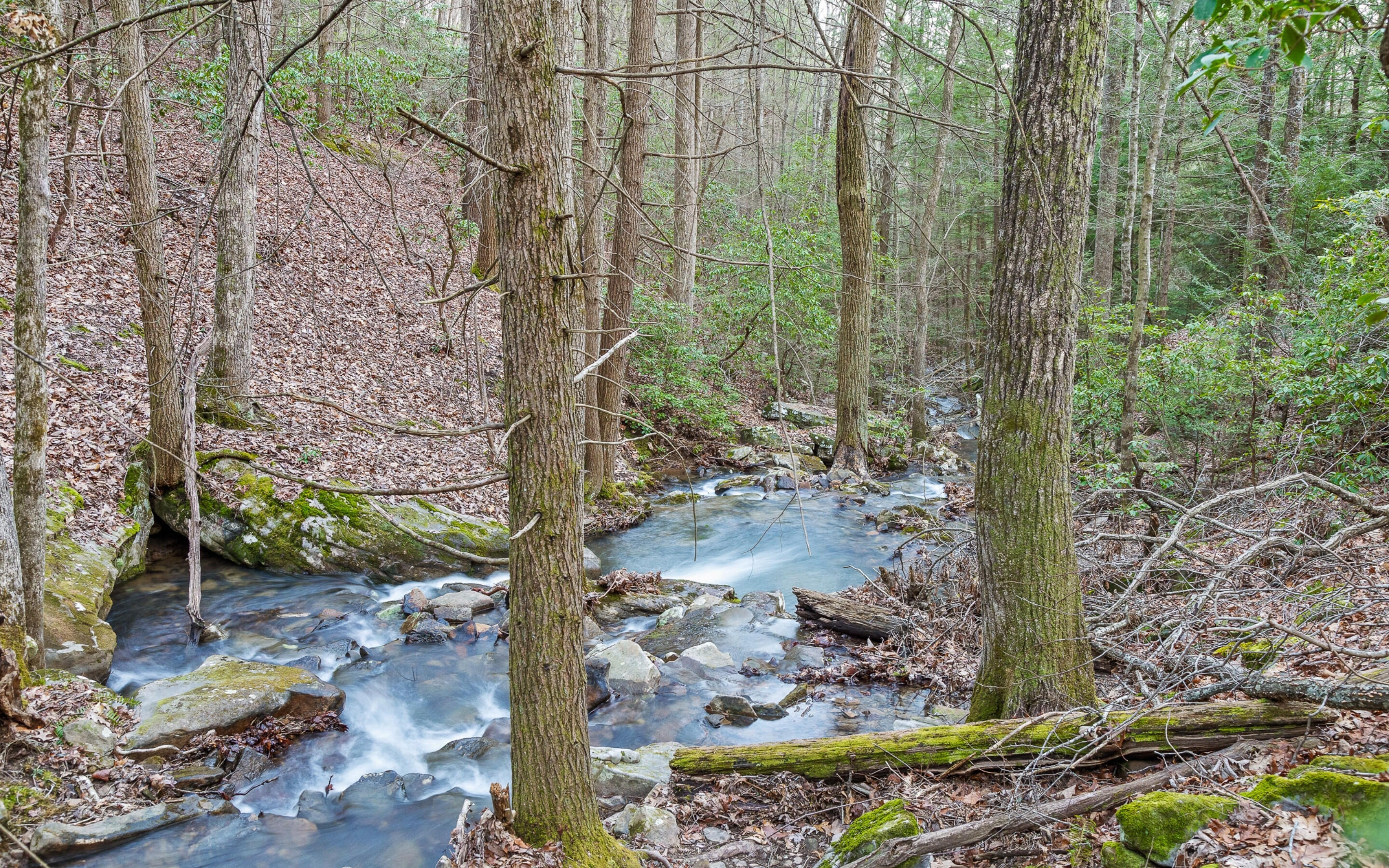 45 Deep Woods Drive, Dunlap, Tennessee image 7