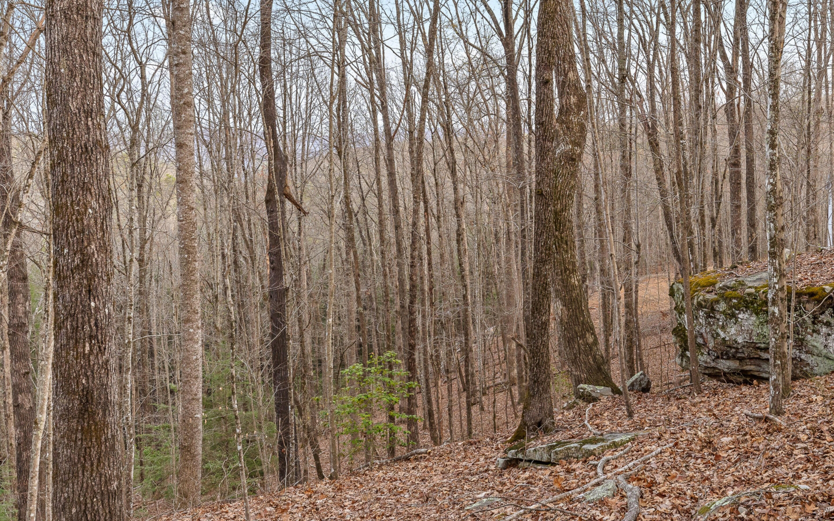 45 Deep Woods Drive, Dunlap, Tennessee image 45