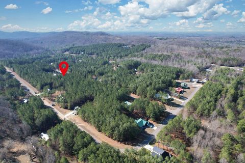 Tiny photo for 140 White Water Run Lane, Ocoee, TN 37361 (MLS # 1527511)