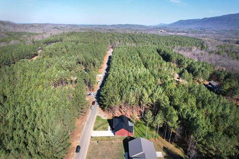 Tiny photo for 140 White Water Run Lane, Ocoee, TN 37361 (MLS # 1527511)