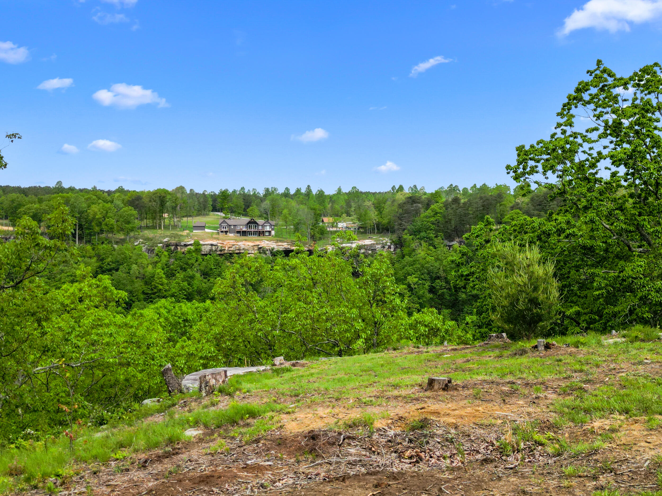 235 Pine Knot Pass, Kimball, Tennessee image 10