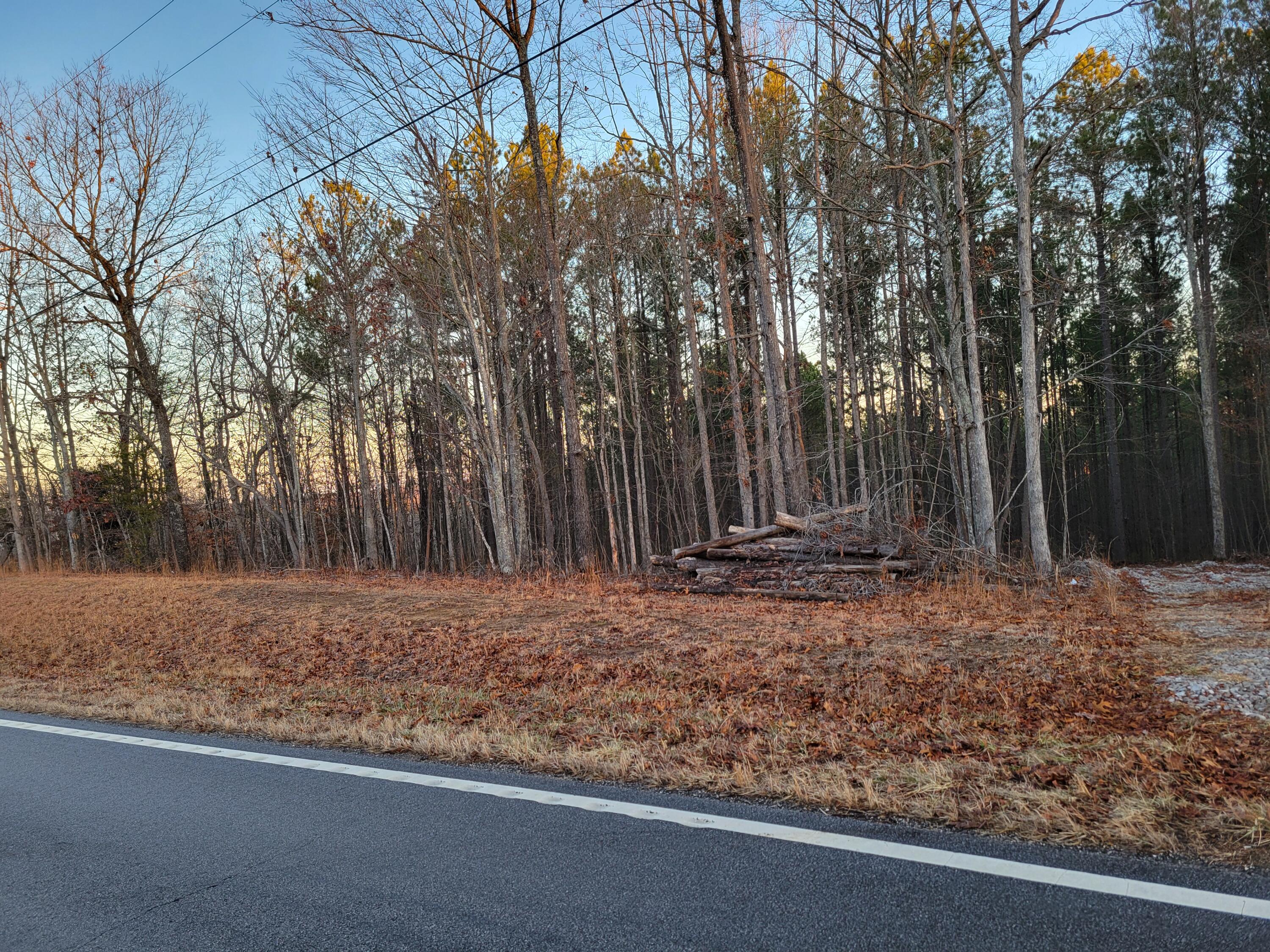 9750 S Pittsburg Mountain Road, South Pittsburg, Tennessee image 17