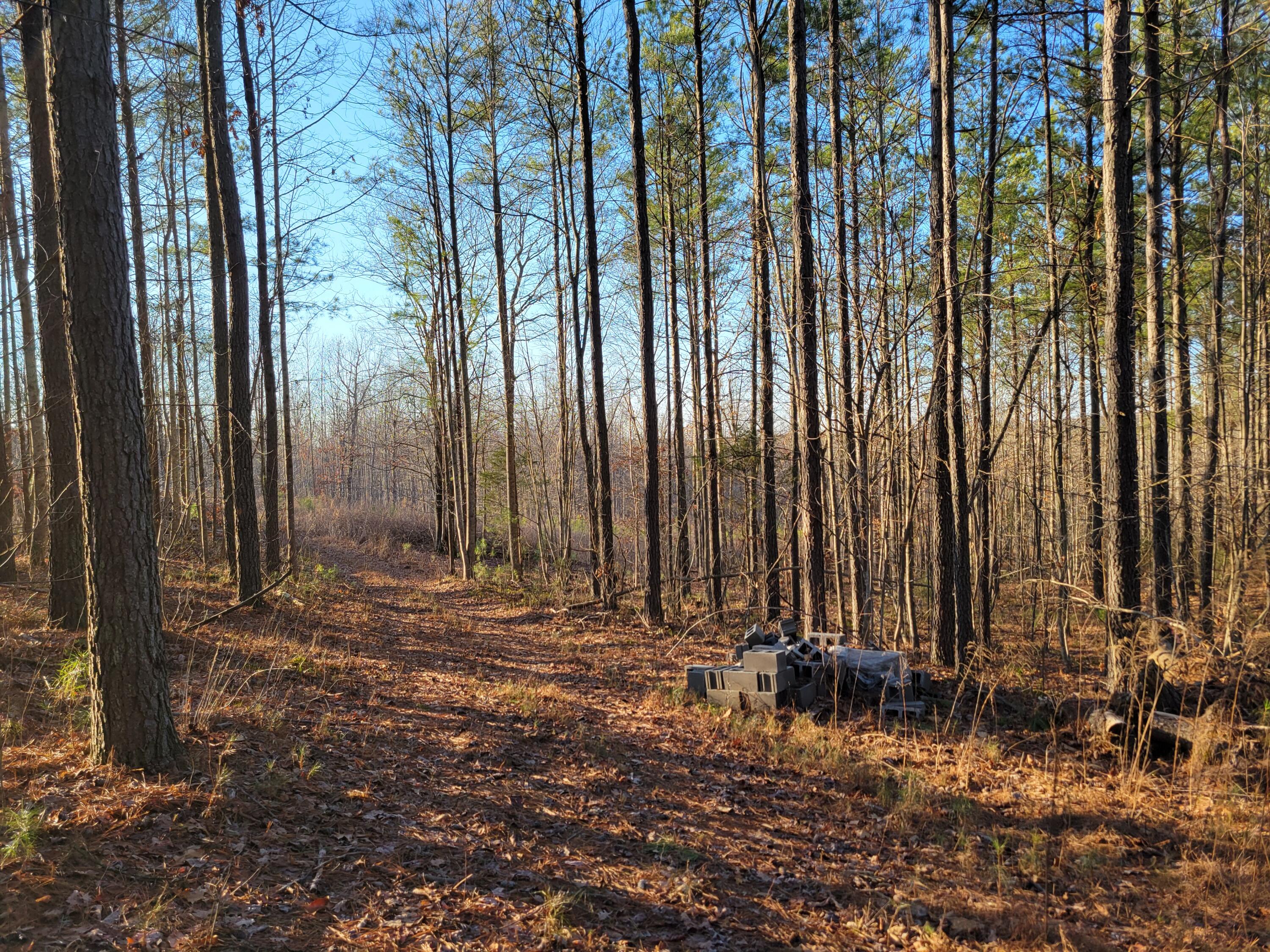 9750 S Pittsburg Mountain Road, South Pittsburg, Tennessee image 7