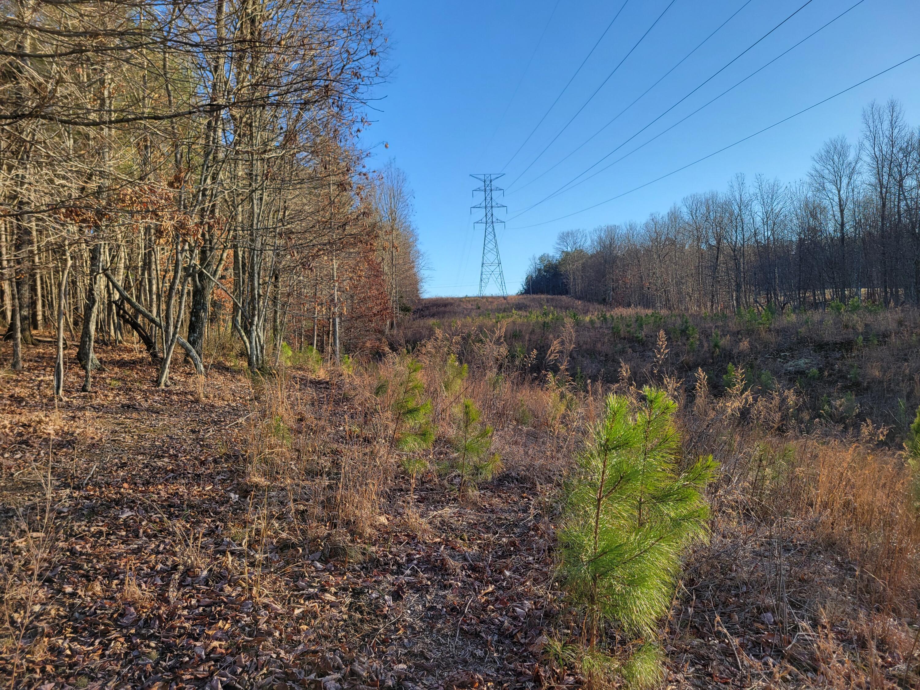 9750 S Pittsburg Mountain Road, South Pittsburg, Tennessee image 11