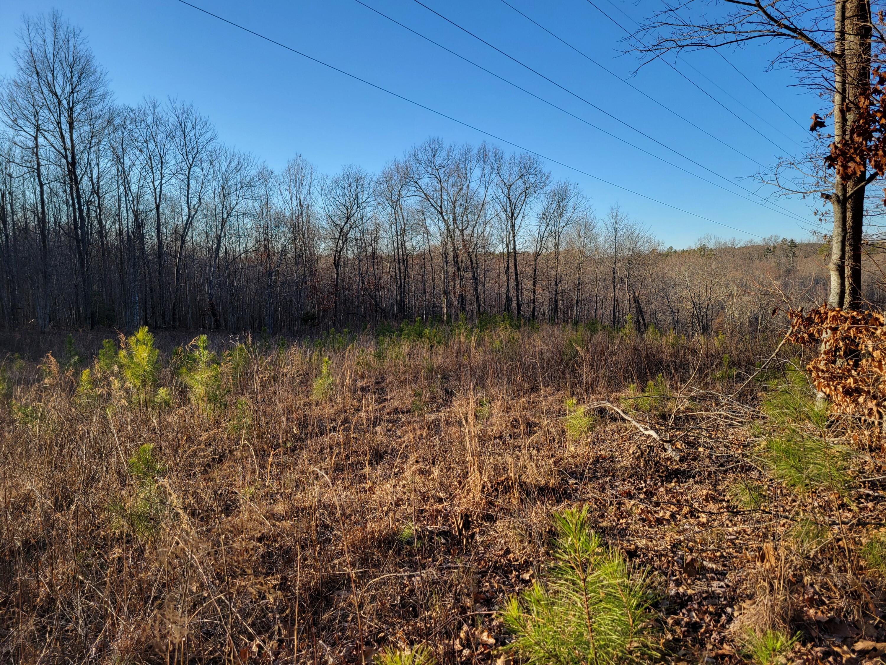 9750 S Pittsburg Mountain Road, South Pittsburg, Tennessee image 8