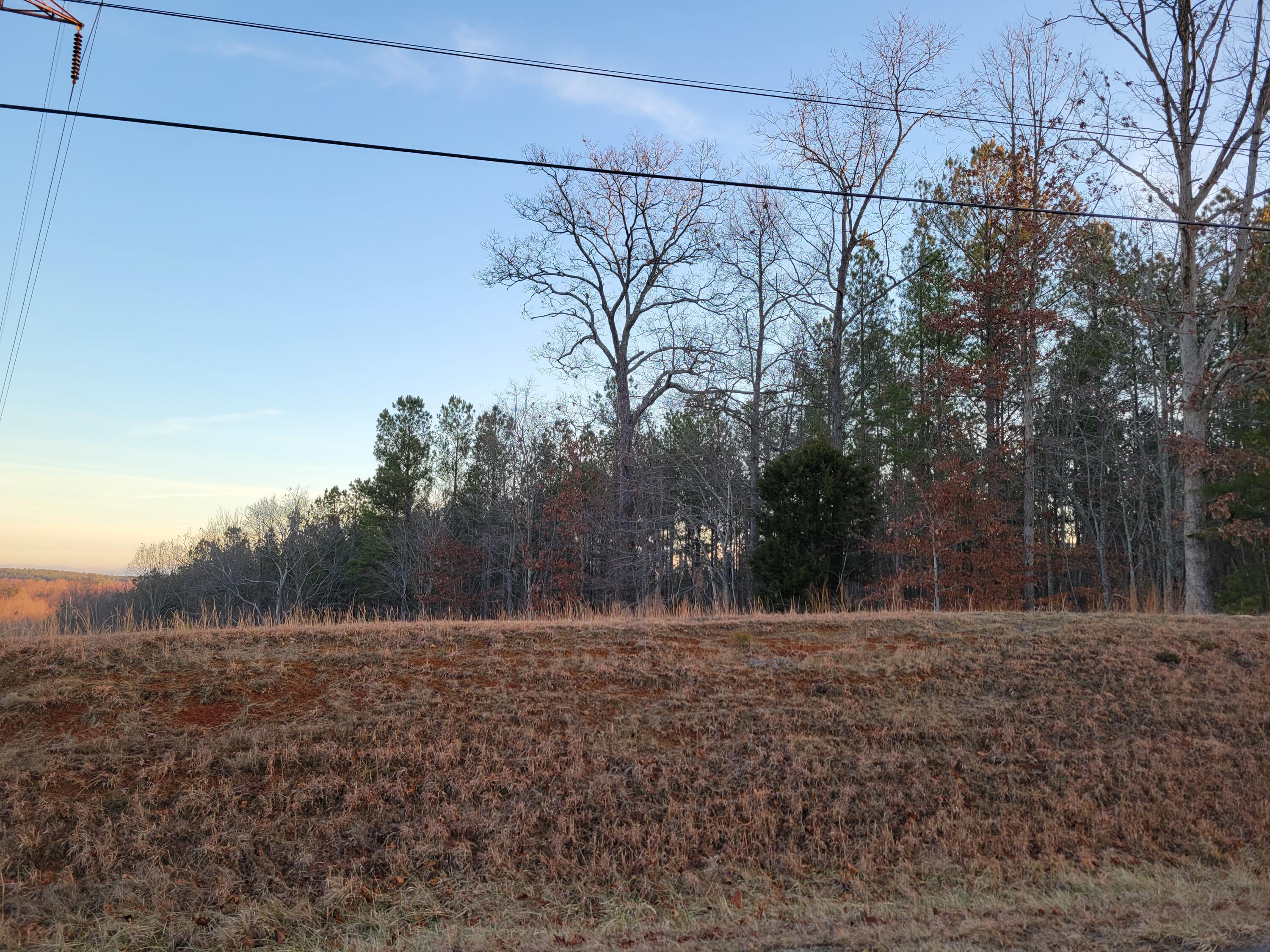 9750 S Pittsburg Mountain Road, South Pittsburg, Tennessee image 14