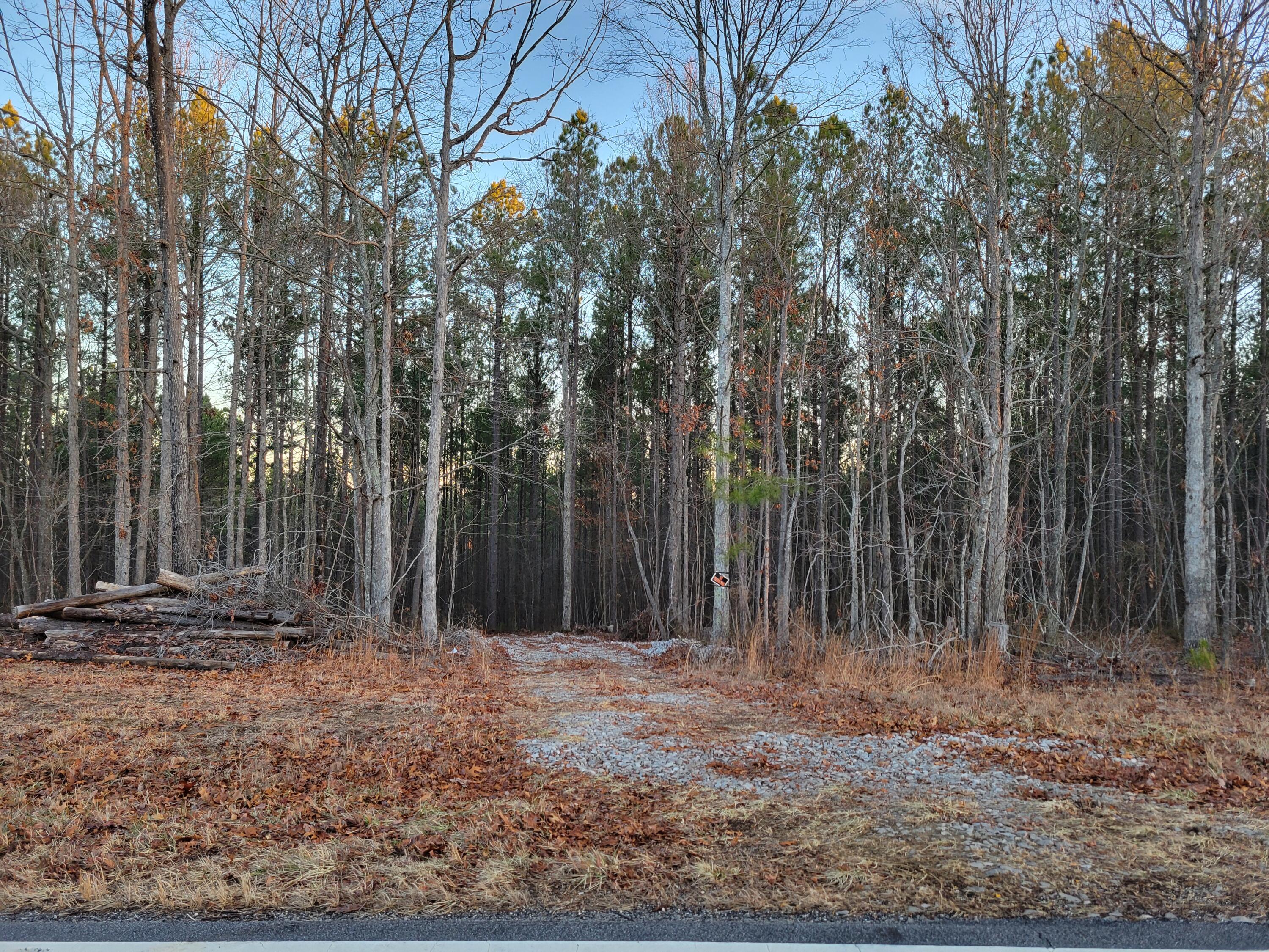 9750 S Pittsburg Mountain Road, South Pittsburg, Tennessee image 15