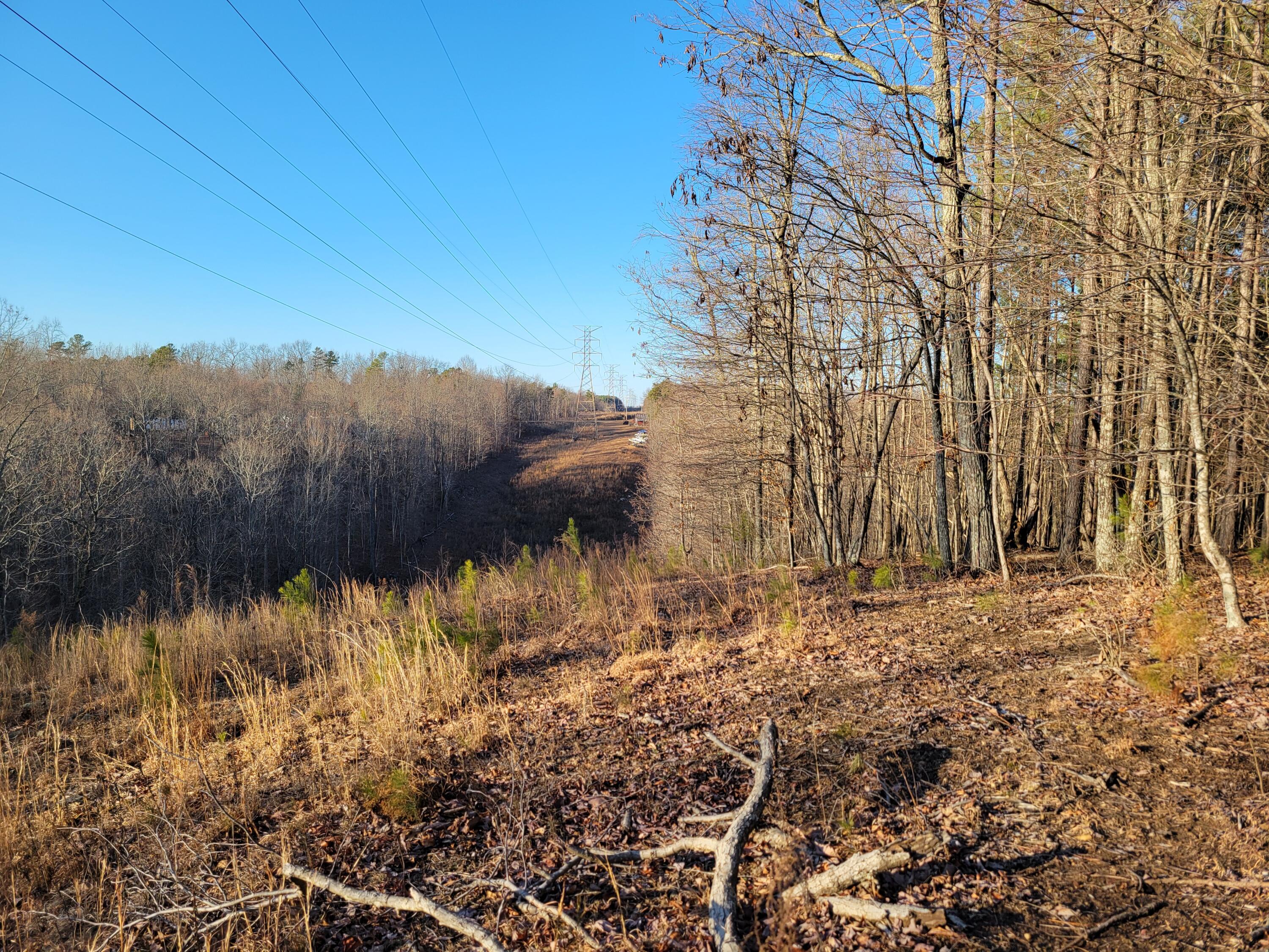 9750 S Pittsburg Mountain Road, South Pittsburg, Tennessee image 12