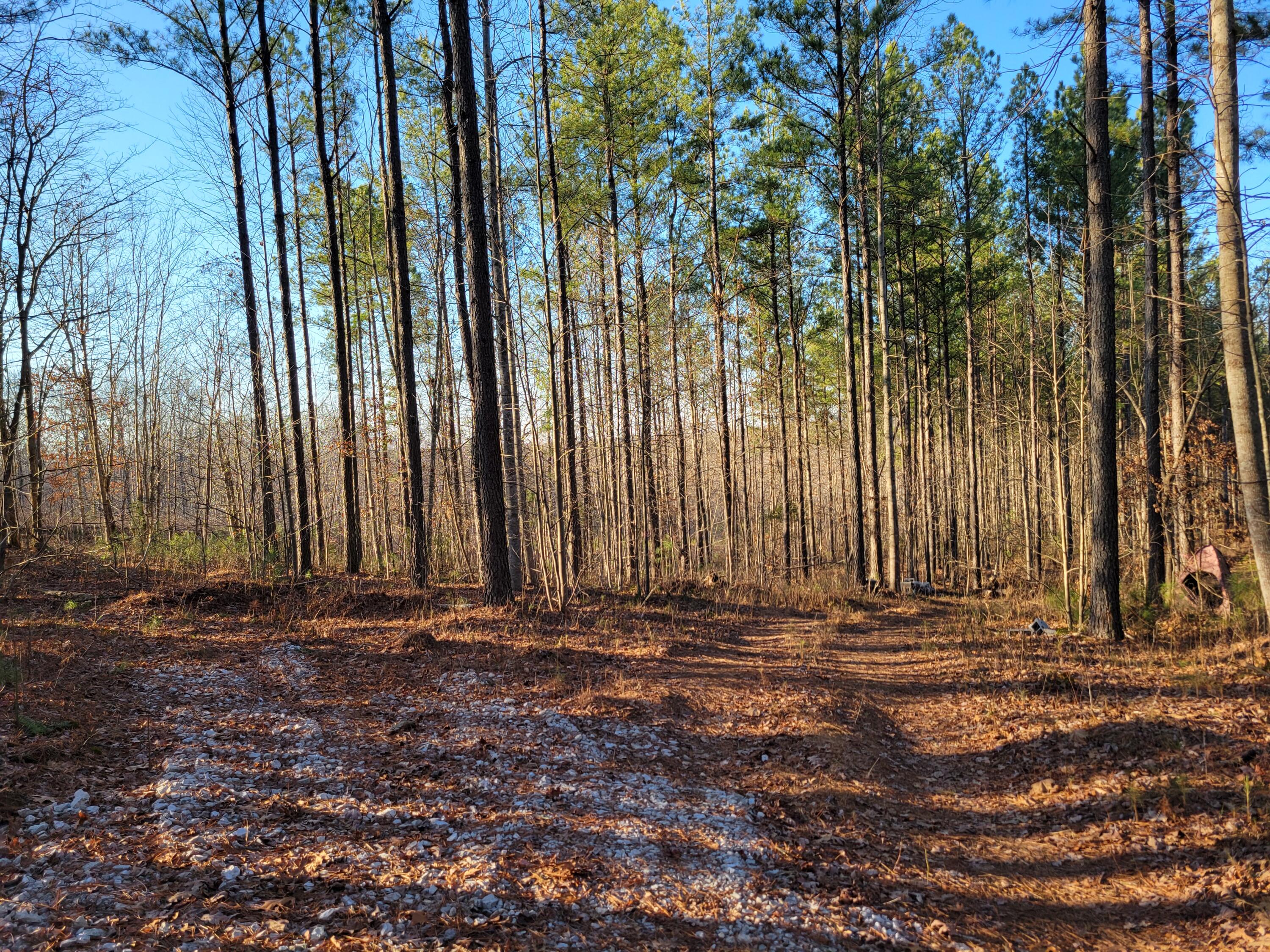 9750 S Pittsburg Mountain Road, South Pittsburg, Tennessee image 5