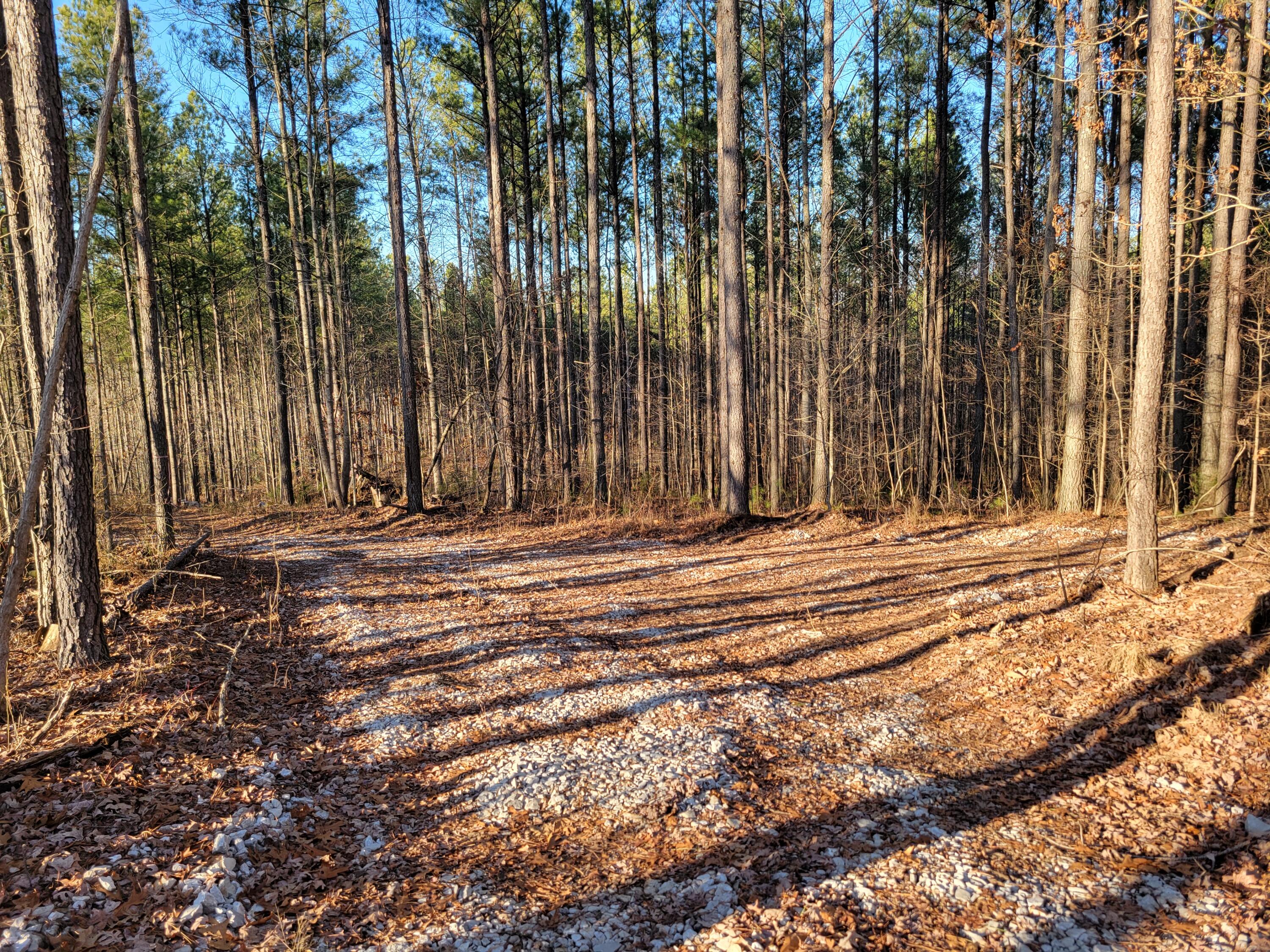 9750 S Pittsburg Mountain Road, South Pittsburg, Tennessee image 4