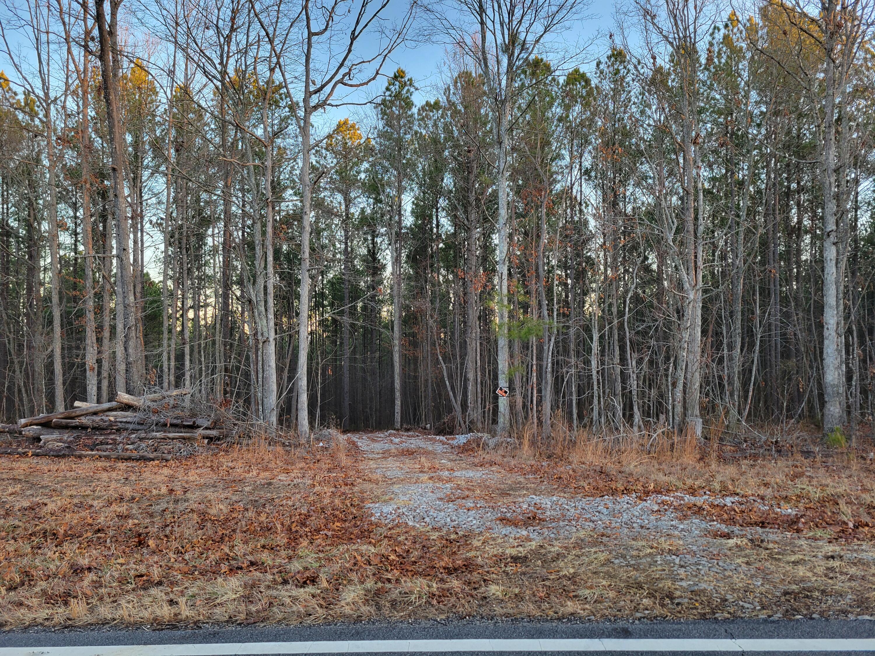 9750 S Pittsburg Mountain Road, South Pittsburg, Tennessee image 16