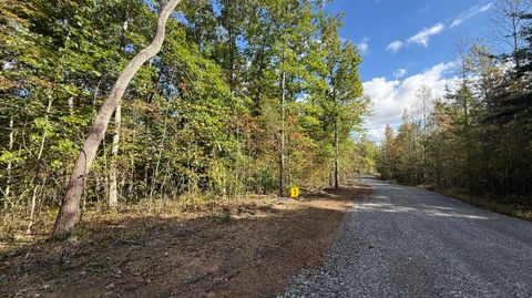 Vacant Land For Sale - Owl Hollow Road<br/> Palmer, TN 37365