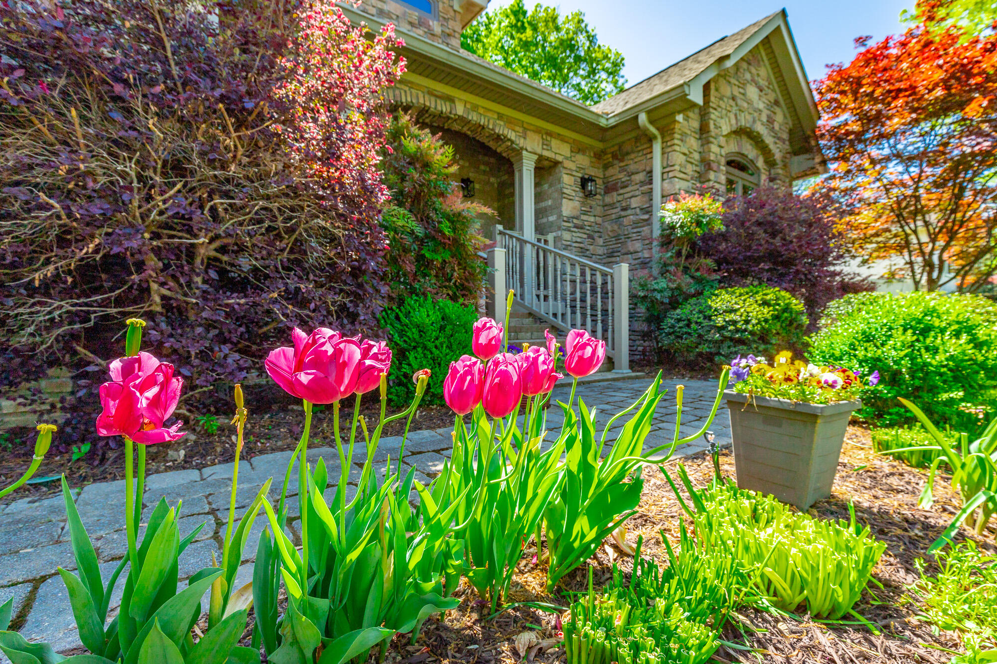 2038 N Concord Road, Chattanooga, Tennessee image 15