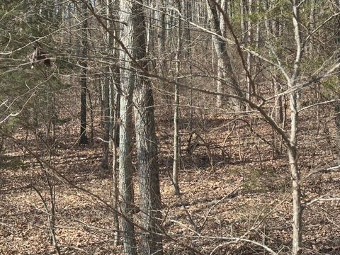 Vacant Land For Sale - 1 Forest Drive<br/> Ringgold, GA 30736